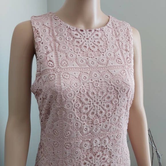 Jack by BB Dakota sheath dress pink lace sleeveless mauve rose cottagecore - Picture 5 of 16